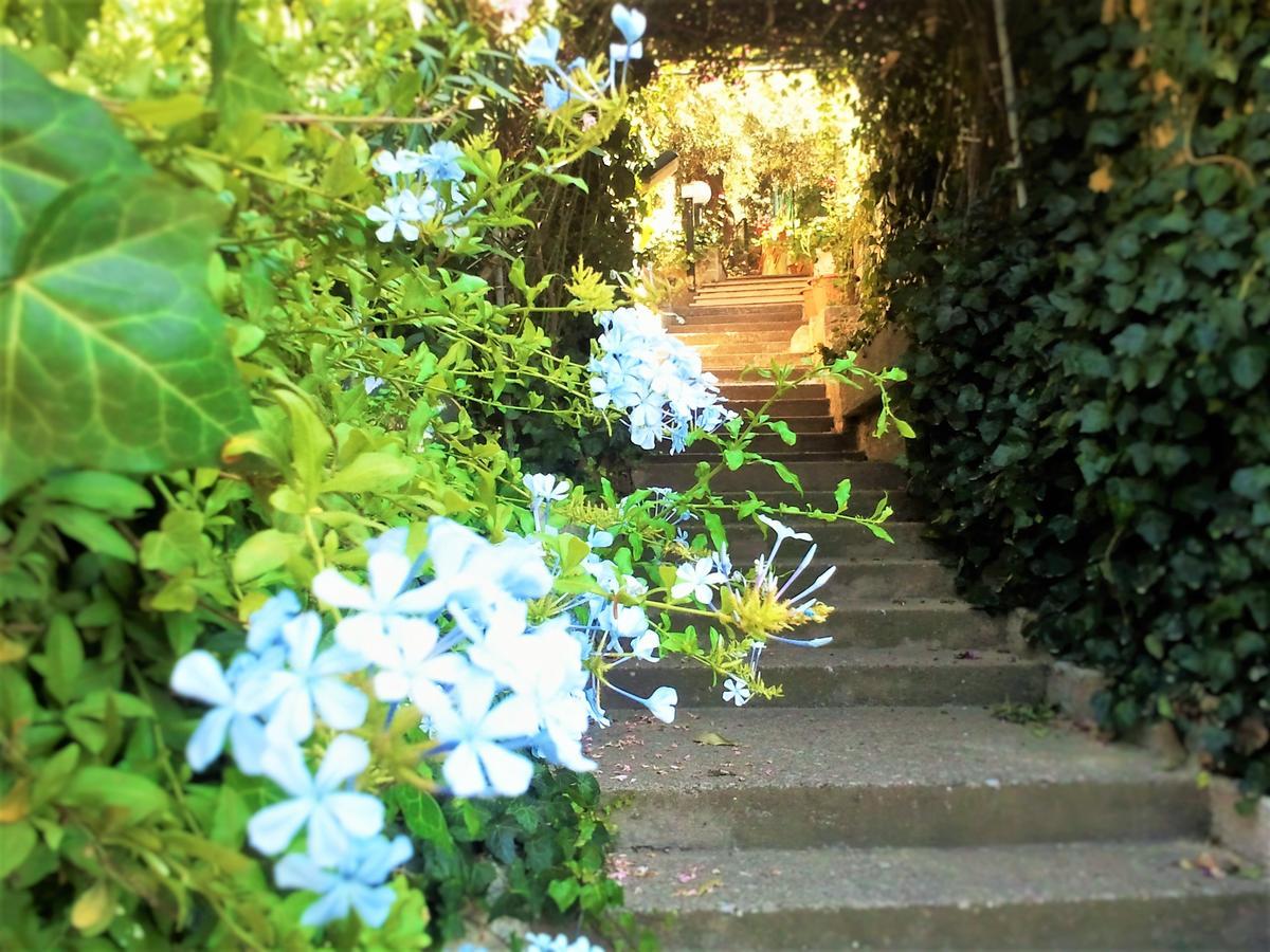 Bed and Breakfast Delle Rose Cefalù Exterior foto
