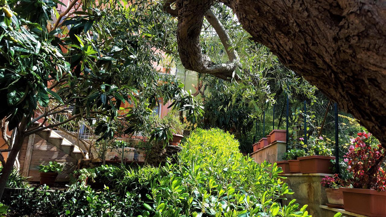 Bed and Breakfast Delle Rose Cefalù Exterior foto