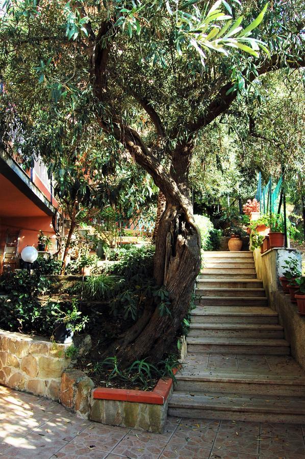 Bed and Breakfast Delle Rose Cefalù Exterior foto