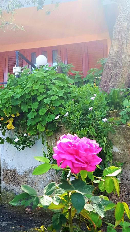 Bed and Breakfast Delle Rose Cefalù Exterior foto